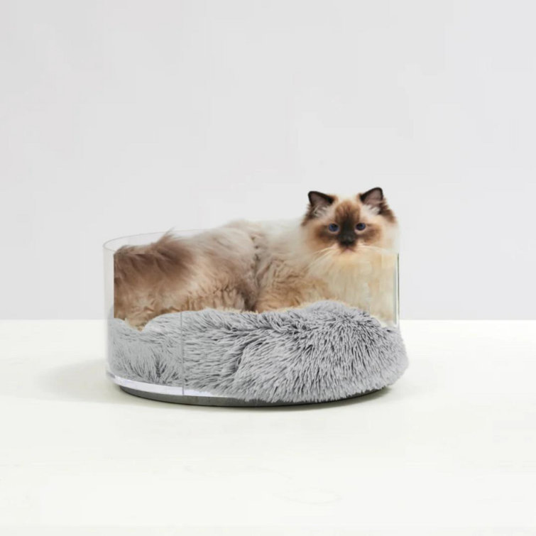 Acrylic cat bed sale